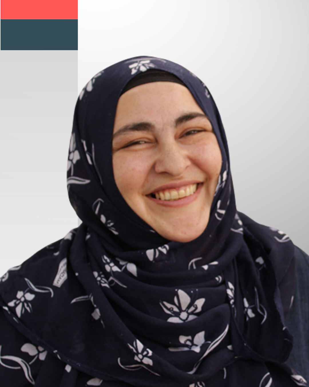 Emine Elemenler